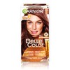 Garnier Belle Color Permanent Hair Dye, 550 Dark Red Auburn,
