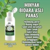 Minyak Panas Bidara Asli Daun Bidara Halia Serai Tomoi Muay Thai Unta Kasturi Kijang Herba Urut Massage Oil Kayu Putih
