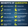 Quercetin 500 mg x 50 Tablets Double Strength Antioxidant Supplement