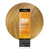 L'Oréal Technique HiColor Blonde HiLights Permanent Hair Color for Dark