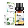 UVa Natural Aceite Esencial De Jengibre 100% Natural Puro Uva