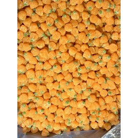 Sour Pumpkin Gummy Candy Bulk  8OZ 1LB 1.5LB 3LB 5LB 10LB - 5 LB