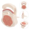 OHPHCALL Travel Eyelash Curler Cute Cat Design Mini Eyelash Tool