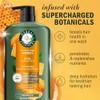 Herbal Essences Champú sin sulfato con miel para hidratación diaria,