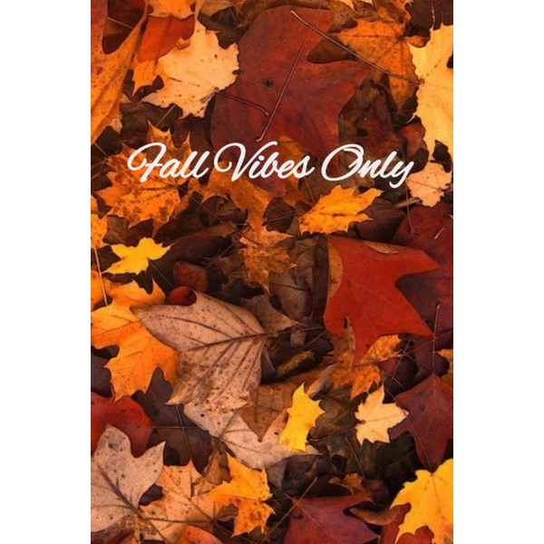 Fall Vibes Only Notebook
