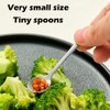10 PCS Condiment Spoons Stainless Steel Mini Spoons 3 Inches
