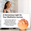 Himalayan Glow Pink Salt Bowl Night Lamp with Crystal Himalayan