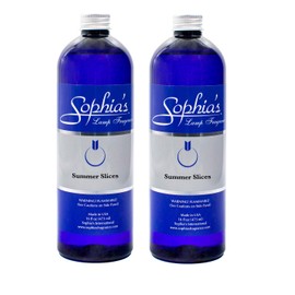 Sophia's Summer Slices Fragrance Lamp Oil Refills 2-Pack, Effusion Lamp Fragrance Oil for Redolere Lamps, Scented Lamp Oil for Fragrance Lamps, 16 Fluid Ounces of Catalytic Scented Oil Made in USA