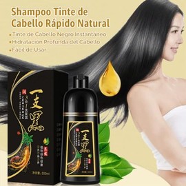 500ml Instant Hair Colouring Shampoo, Natural Herbal Instant Black Hair Dye Shampoo For White Hair Coloring, 3 in 1 Black Hair Shampoo, for Men and