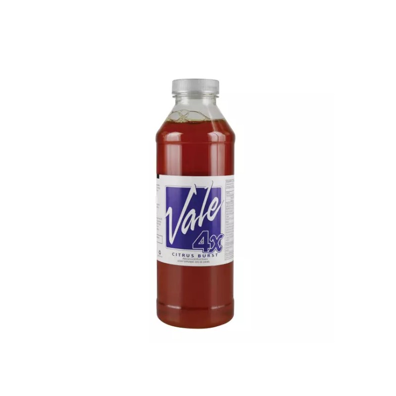 Vale Detox Solution 4X One Hour 20oz Complete System Cleanser
