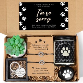 iAOVUEBY Loss of Dog Pet Sympathy Gift, Pet Memorial Gifts for Dogs, Loss of A Dog Sympathy Gift Baskets, Dog Passing Away Gifts, Loss of Pet Gift Box for Dogs Lovers Friends Family