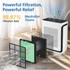 Vital 200S-P Toxin Absorber Replacement Filter Compatible with LEVOIT Vital