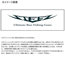 DAIWA STEEZ Joint Jig, Flex Football, 0.2 oz (7 g), Swamp Zari
