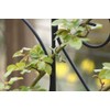 Takasho GST-01 Garden Soft Tie 0.1 inch (2.5 mm) x