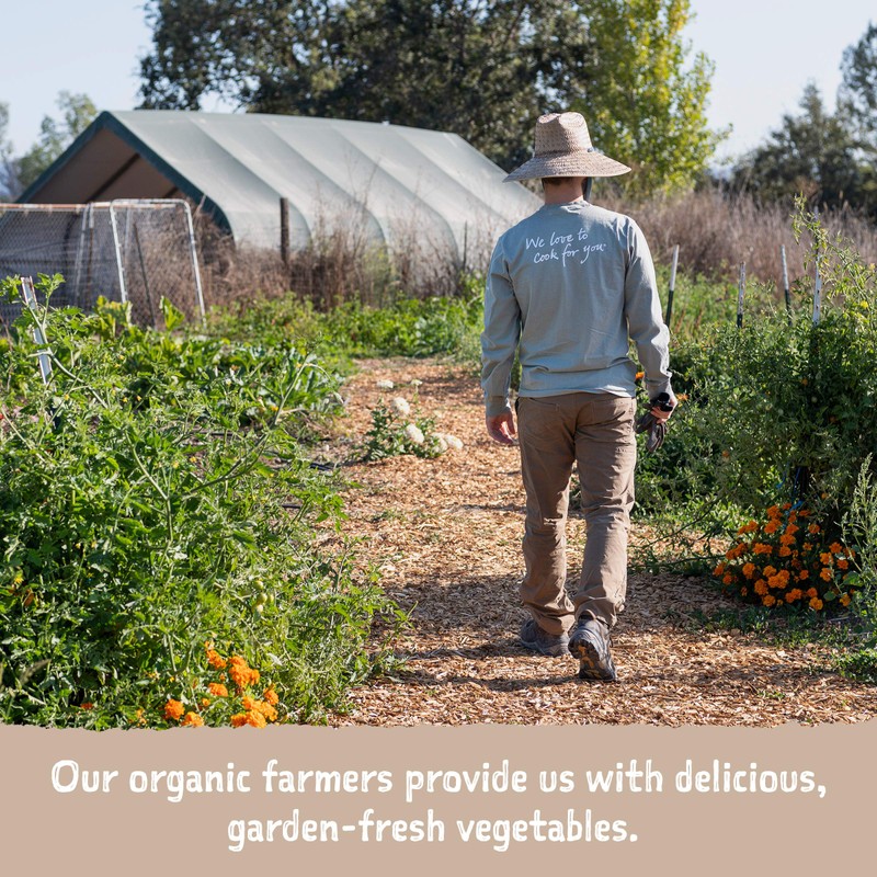 Amy's Organic Soups, Quinoa Kale & Red Lentil, 14.4 Ounce