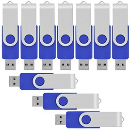 VICFUN 10pcs 2GB USB Flash Drives 2GB Flash Drive USB 2.0 Memory Stick-Blue