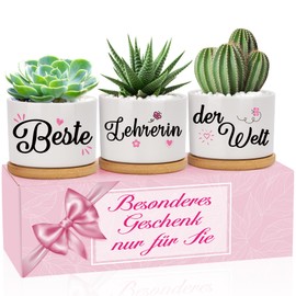 Teacher Gift, Best Teacher in the World Flower Pots, Gift for Teacher Christmas, Thank You, Leaving Gift Teacher, Birthday, Retirement for Teacher