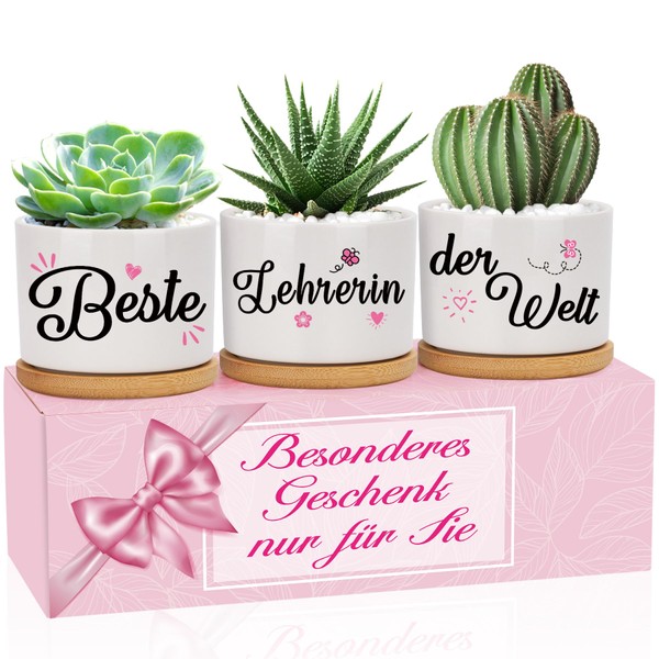 Teacher Gift, Best Teacher in the World Flower Pots, Gift
