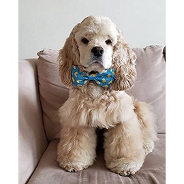 Huxley & Kent Bow Tie Lucky Ducky