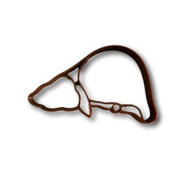 Liver Anatomy Cookie Cutter