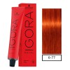 Tinte Igora Royal Schwarzkopf Tono 6-77