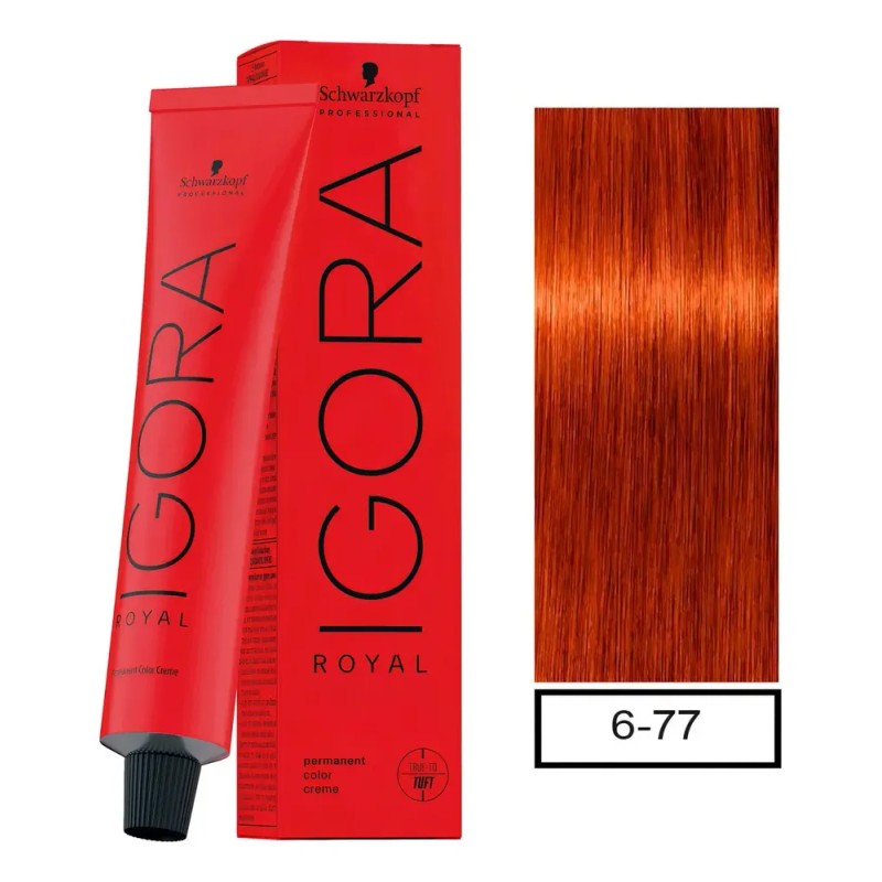 Tinte Igora Royal Schwarzkopf Tono 6-77