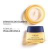 Vichy Neovadiol Crema de Noche Post-menopausia Dermatológica 50ml