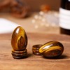 dssmboom Polished Tiger Eye Crystal Egg with Stone Base Healing
