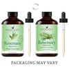 Handcraft Blends Handcraft Blends Rosemary Essential Oil - Huge 118