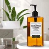 Body Prescriptions Crimson & Oak Men's Deep Cleansing Hand Soap