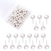 AIEX 100 Pieces Pearl Push Pins Plastic Round Head Thumb