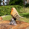 Selections GFJ356 Robin on a Tree Stump Garden Ornament