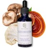 Extracto de Reishi, Shiitake y Melena de León de Doble