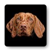 Fractal Artworks Hungarian Vizsla Coaster Set of 2 with Fractal