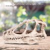 Resin Dinosaur Skull Model Simulated Animal Skeleton Home Office Decor