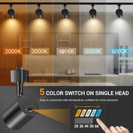 VANoopee 5-Color LED Track Lighting Heads H Type Track Light Heads Dimmable, 2000K 3000K 4000K 5000K 6000K Adjustable, Flicker Free CRI90+ 24° 10W 800lm, Black (4 Pack)
