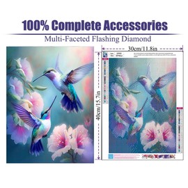 Hummingbird Diamond Painting Kits for Adults - DIY Birds Diamond Art Kits for Adults, Diamond Dots 5D Paint with Diamonds Pictures Gem Art Kits Crafts Kits for Adults for Home Wall Decor 12x16inch