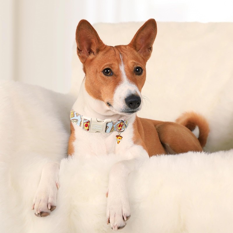 Unique style paws Dog Collar Quick Release Cotton Pizza Collar