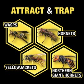 HOY HOY Wasp Trap (1 Unit) - Outdoor Hanging Trap for Yellowjackets, Wasps, Hornets, and Northern Giant Hornets, Food-Based Attractant, Safe, Easy Setup, Up to 30 Days Protection, Made in Japan