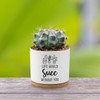 AKAQCHANG Life Would SUCC Without You,Succulent Cactus Cute Planter Pots