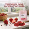 Strawberry Powder, Organic Strawberry Powder, 16oz / 454g, Natural Freeze-Dried,