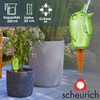 '"Bördy Water Dispenser Colour: Green, Size 20, Volume 220 ml