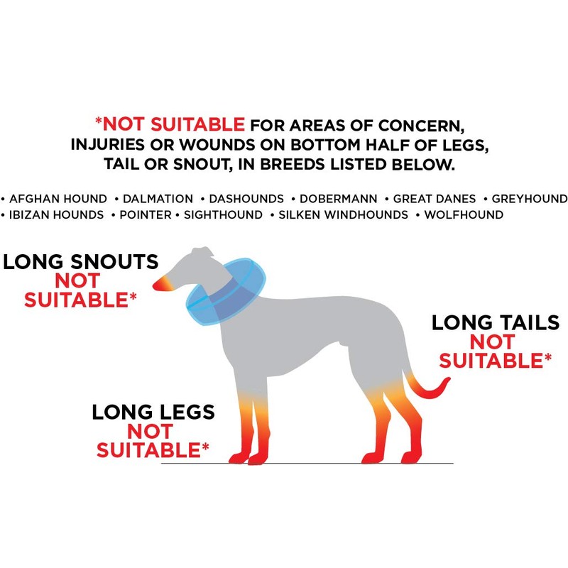 Inflatable Dog Collar, Recovery Cone, After Pet Surgery, Prevent Dogs