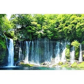 Postcard postcard of Shiraito Falls in Shizuoka Prefecture Photo by YOSHIO IWASAWA