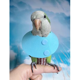 HEZHUO Parrot Neck Collar Pet Anti-bite Picking Feather Healing Protective Neck Cover Collar for Birds (S)