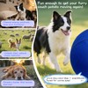 25" Herding Ball for Dogs – Durable Horse Ball Style