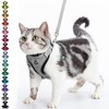 PUPTECK Cat Harness and Lead Set Escape Proof Reflective Cat