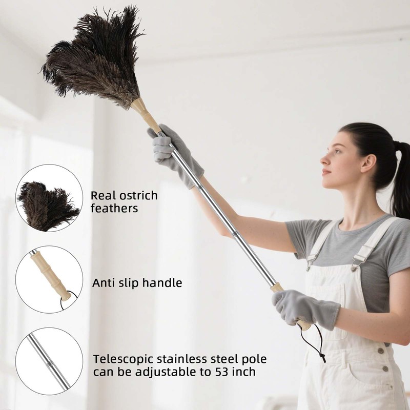Feather Duster Extendable Handle，53In Telescopic Duster with 1 Ostrich Feather
