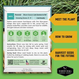 Survival Garden Seeds - Native Little Bluestem Grass Seeds (Schizachyrium scoparium) | Bronze Copper Fall Color | Drought-Tolerant | Non-GMO Bunchgrass Seed - 1 Pack