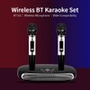 Wireless BT Karaoke Set with Double Wireless BT Microphone for